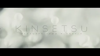 Kinsetsu (macro experiment short film)