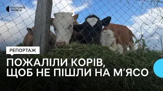 Пожаліли корів, щоб не пішли на м’ясо: родина з Новгород-Сіверщини облаштувала ферму за грант