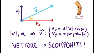 Scomposizione di un Vettore