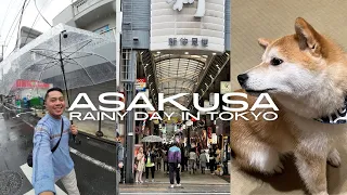 Japan Vlog Day 4: Exploring Asakusa + Rainy Day in Tokyo | STEVENTRAVELS