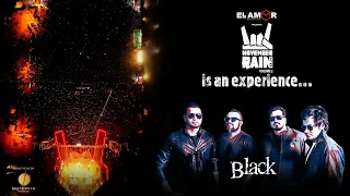 Black | Manush Pakhir Gaan | November Rain Volume 2 | 2022