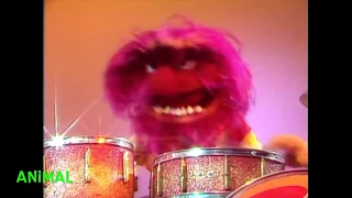 Muppet Songs: Animal - Drum Solo