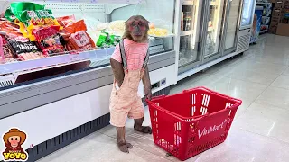 Monkey YoYo JR wakes up early to go to supermarket to prepare breakfast for Dad