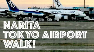 4K Japan Airport Tour : Tokyo Narita International Airport Terminal 1 : Walking Tour Tokyo