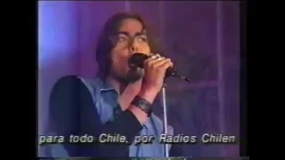 La ley Viña 1994