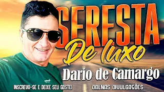 Dario de Camargo - Volume 9 - Seresta de Luxo 2023