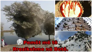 PEMET ME TE RREZIKSHME NE BOTE