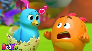 птах Дивитися Смішні мультфільми відео і комедійні епізоди для дітей від Booya