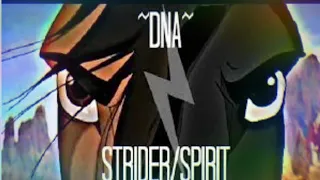 Spirit vs strider we are the champions