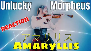 Unlucky Morpheus - アマリリス  (Amaryllis) Reaction | Official Video