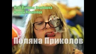 №10 Лучшая Подборка Новых Приколов 2018 The best selection of jokes Glade of Prikolov