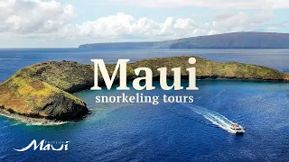 Maui Snorkeling | Pride of Maui Boat Tours and Molokini Snorkeling