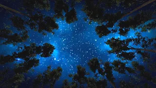 Fall Asleep in 5 MINUTES | Destroy Unconscious Blockages and Negativity | Starry Night