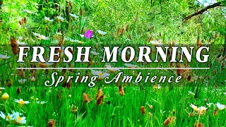 Relaxing Nature Ambience Meditation 🌼GOOD MORNING SPRING🌼Healing Nature Sounds in a Flowery Meadow#3