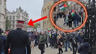 This Is What Happened On A Very BUSY SATURDAY Outside Horse Guards