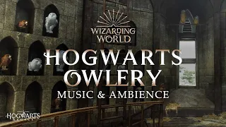 Harry Potter | Hogwarts Owlery Music & Ambience, Peaceful and Relaxing Scenes with Day/Night Cycle 🦉