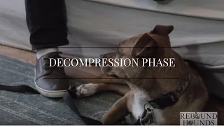 Decompression Phase