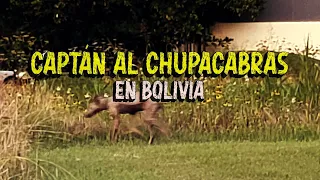 DRONE CAPTA AL CHUPACABRAS EN BOLIVIA