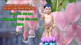 Một số hình ảnh đạo tràng Viện Chuyên Tu chuẩn bị cho Lễ Tắm Phật - Đại lễ Phật đản PL 2568- DL 2024