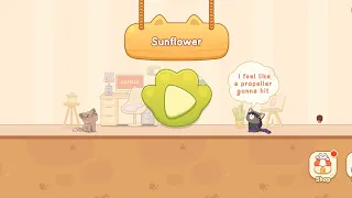 Sunflower 3rd level. Cat Dash, GD copy? (Part 1)