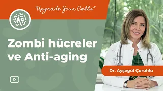 Zombie Cells and Anti-aging