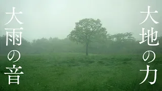 [Purification of heavy rain] Rain sound  purify mind and body and charge energy [Mt. Fuji Grounding]