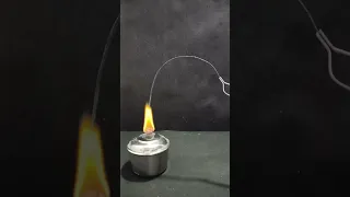 Magnesium Ribbon Burn 🔥😜 | ChemHolder