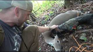 Pennsylvania Opening Morning Doe - Traditional Bowhunting - The Push Archery - Season 4