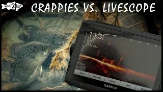 Crappie Fishing With Garmin Panoptix LiveScope