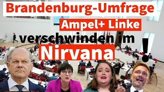 Brandenburg-Umfrage: Ampel UND Linke vor dem Super-GAU!