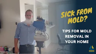 Sick From Mold Symptoms? | Tips For Removal