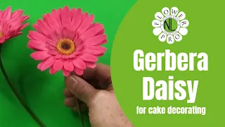 Flower Pro Gerbera Daisy For Cake Decorating