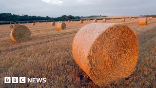 The technology trying to make farming more sustainable - BBC News