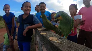 Counting Parrots in Guyana with Children and Their Parrots