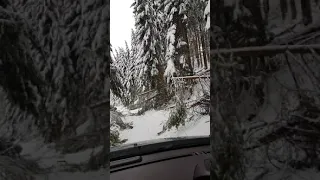 Volvo XC 60 Driving in Mountain Road Through Forest 4x4 All-Wheel