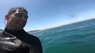 Kitesurfing with Dolphins | Vlog #4