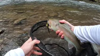 Fly Fishing a Hidden Gem in WNC