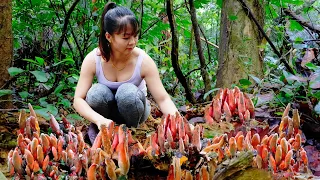Harvesting Wild Mushroom Goes To Market Sell, Take care animals in farm | Phuong Daily Harvesting