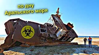 ✅Что происходит на острове Возрождения ☣ Бандитизм в Казахстане и подземные БИОбомбы с Сибирской язв