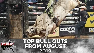 The Top Bulls from August | 2019