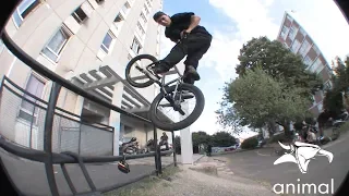 ANIMAL BIKES ROMANIAN CONNECT RAUL JULA (BMX)