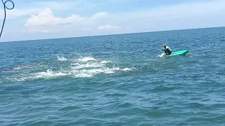 Panen ikan giant trevally & ikan telang, 2x trip KM. MAHFUZHA