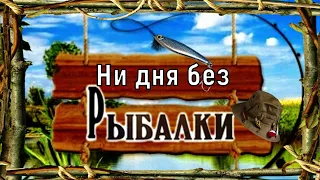 ★Рыбак-это на всю жизнь/Девушки на рыбалке/Приколы на рыбалке/Смешные рыбаки/Весёлая рыбалка 2020/★