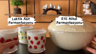 Mutfağımdan Fermantasyon Tekrarı 😉