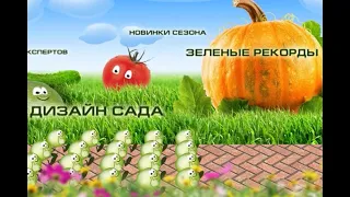 2019 09 03 Зелёная передача