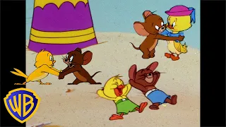 Tom y Jerry en Latino | Jerry y Quacker, mejores amigos para siempre |  @WBKidsLatino