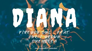 Fireboy & Chris Brown - Diana (Feat Shenseea) [Lyrics]