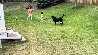 Playing with dog and his neighbours friends