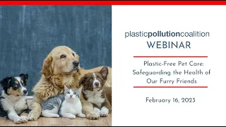 Plastic-Free Pet Care: Safeguarding the Health of Our Furry Friends