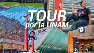 EL TOUR MÁS COMPLETO DE LA UNAM 📚✨ zona cultural, alberca, muac, rectoría, biblioteca y más
